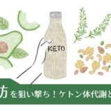 脂肪を狙い撃ち！ケトン体代謝とは