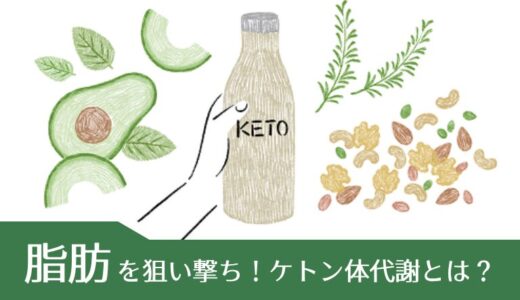 脂肪を狙い撃ち！ケトン体代謝とは