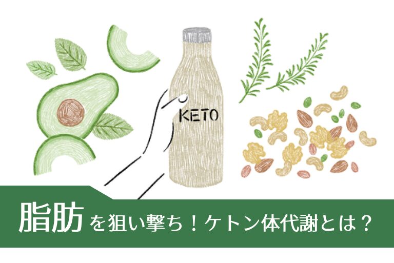 脂肪を狙い撃ち！ケトン体代謝とは