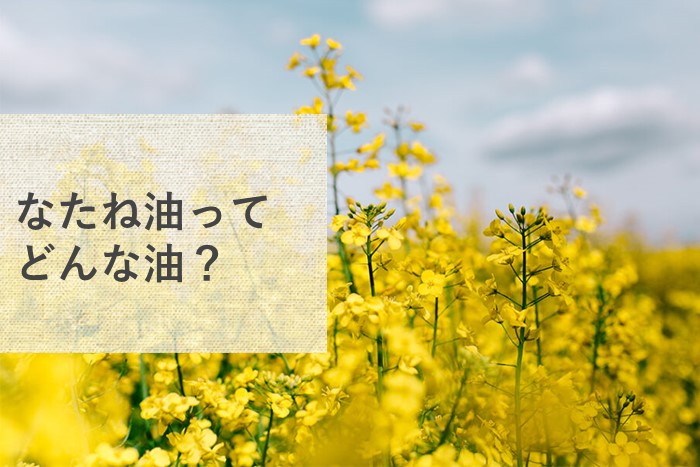 なたね油ってどんな油？効果や他の油との違いを紹介 | 仙台勝山館ココイル