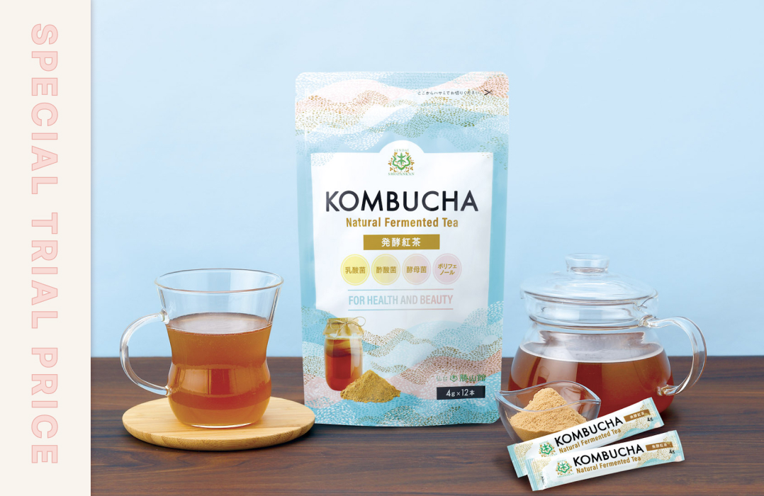 KOMBUCHA 発酵紅茶 4g×12本